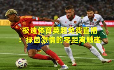 极速体育英超免费直播：绿茵激情的零距离触碰