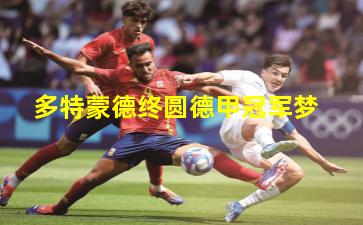 多特蒙德终圆德甲冠军梦