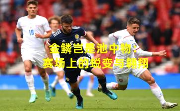 金鳞岂是池中物：赛场上的蜕变与翱翔