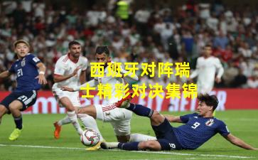 西班牙对阵瑞士精彩对决集锦