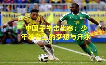 中国子拳击比赛：少年拳台上的梦想与汗水